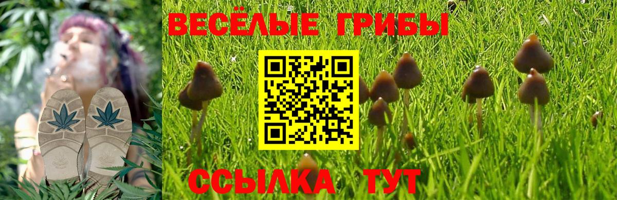 Псилоцибиновые грибы Psilocybine cubensis  Вход с VPN  где купить   Галлюциногенные грибы Magic Shrooms  Минеральные Воды 